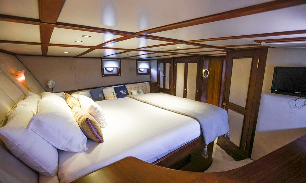 Gazella thumbnail 17
