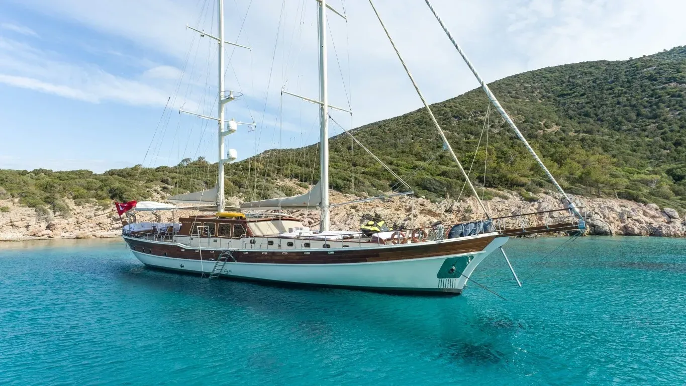 Estrella De Mar thumbnail 2