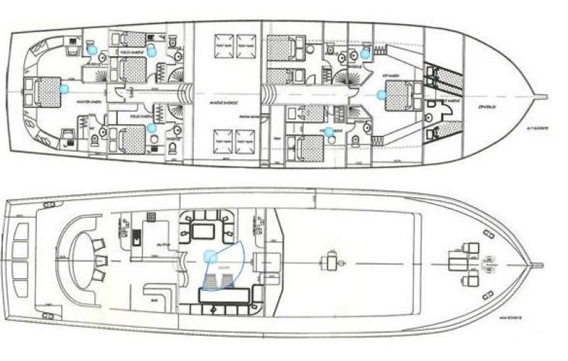 Freedom layout diagram