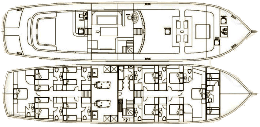 Nevra Queen layout diagram