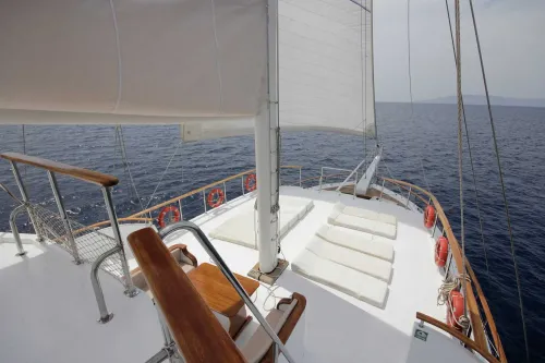 Bodrum - Gulf of Gokova - Bodrum Cruise by Boreas - Photo 21
